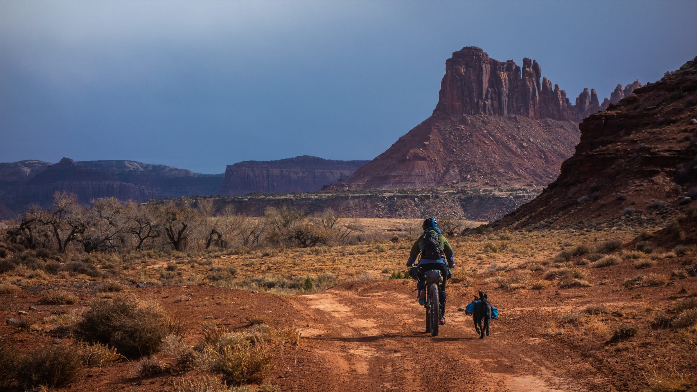 Cyclist touring in a desert landscape